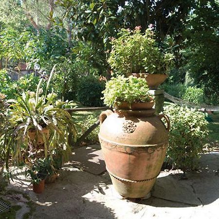 Vila Casa Di Sasso Arezzo Exteriér fotografie